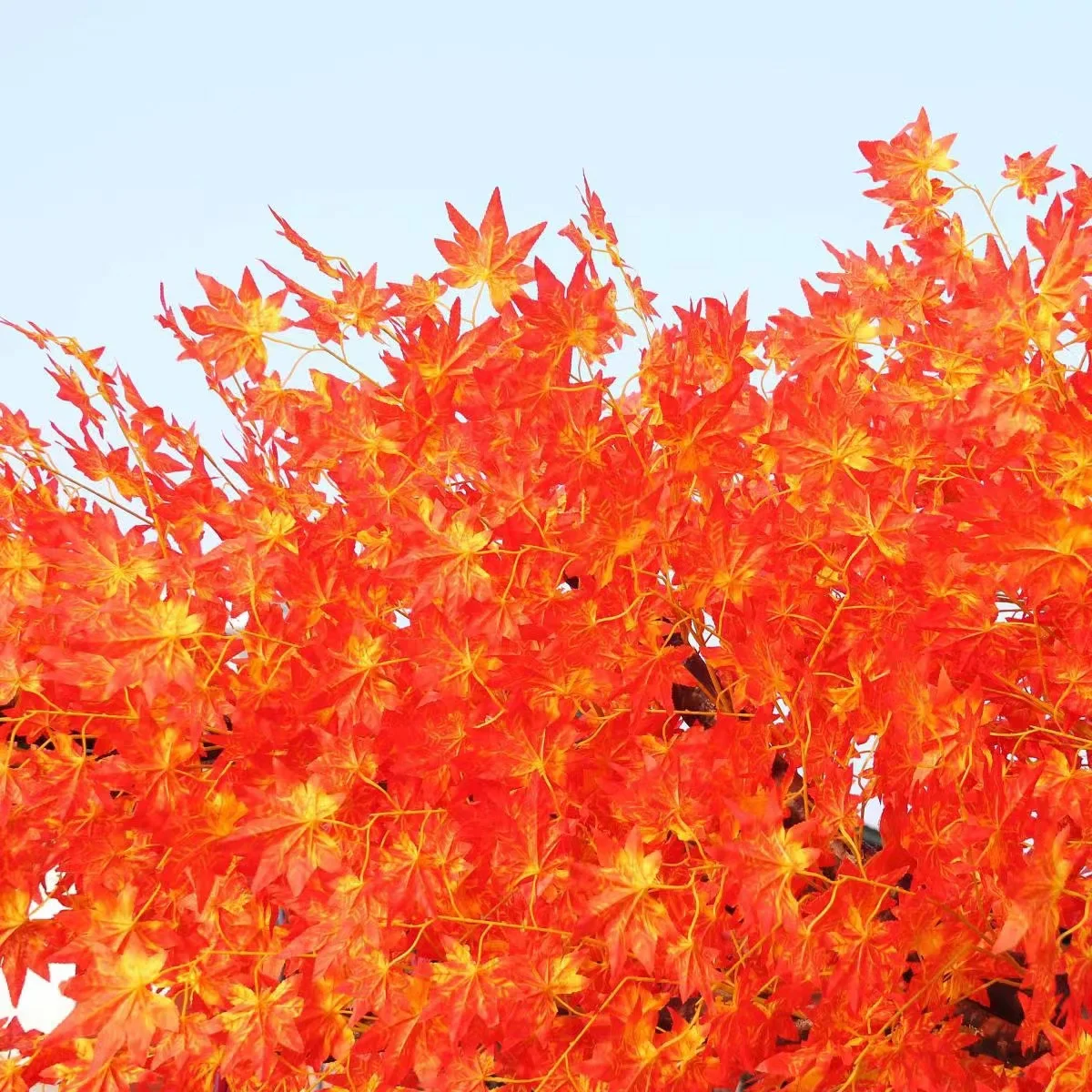 Simulate the beautiful shape of a red maple tree.  is placed in the living room, shopping mall, and hotel on the ground