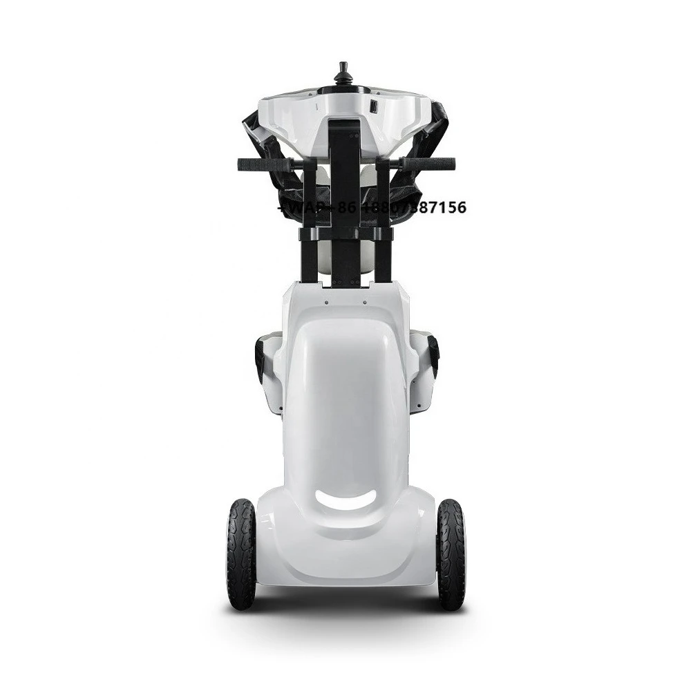 Electric Assisted Standing Rehabilitation Training Lifting Machine Standing Aid for Mild Disability Lower Limb Dyskinesia