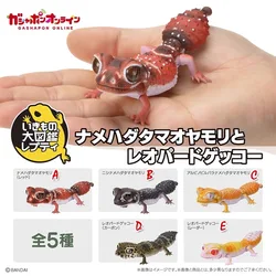 バンダイ-gashapon大きな生物学マップ、丸い容器のヒョウ、gecko lizard、動物アクションフィギュア、モデルおもちゃ、コレクションギフト、オリジナル