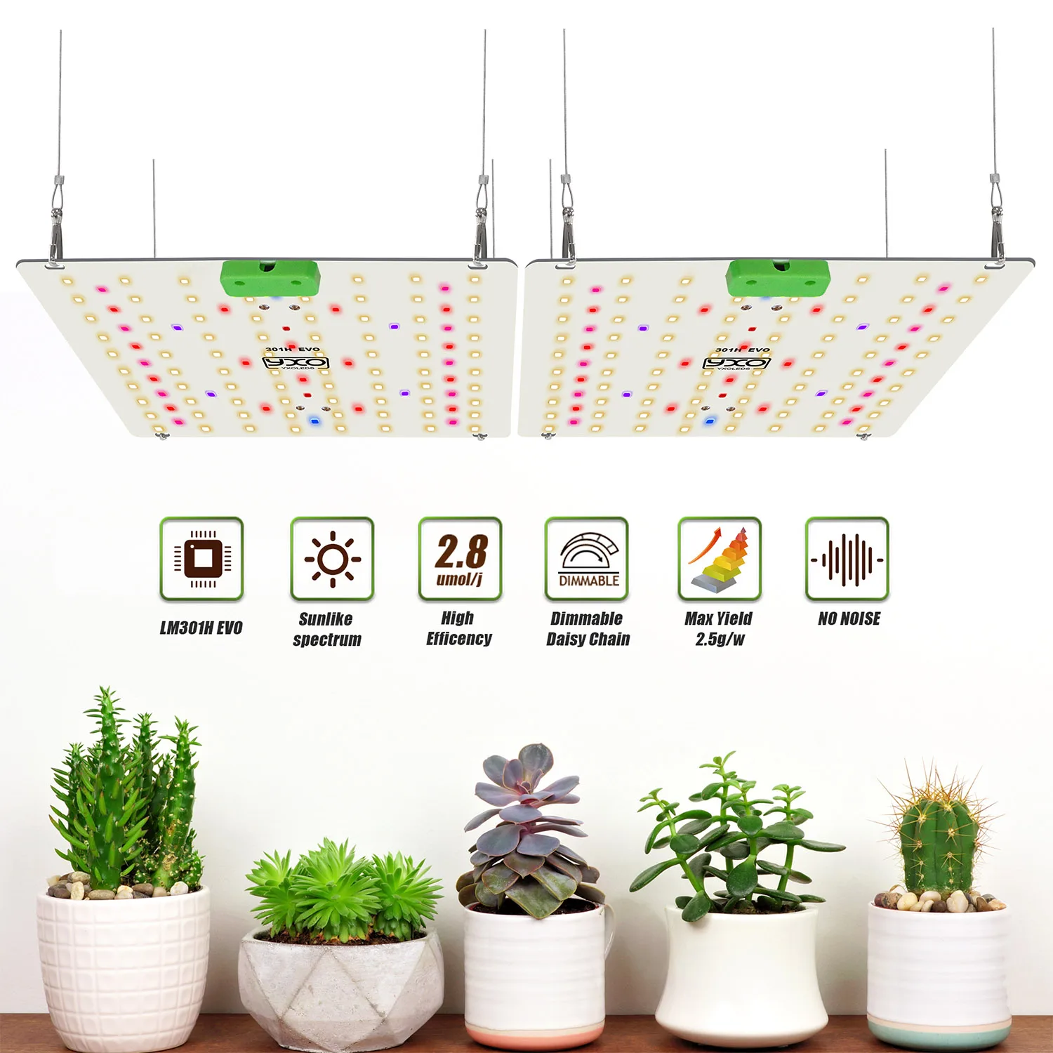 LM301H EVO 150W Quantum LED Grow Light Board Full Spectrum Hydroponics Plants Growth Lamp with IR UV MeanWell Driver for Sale
