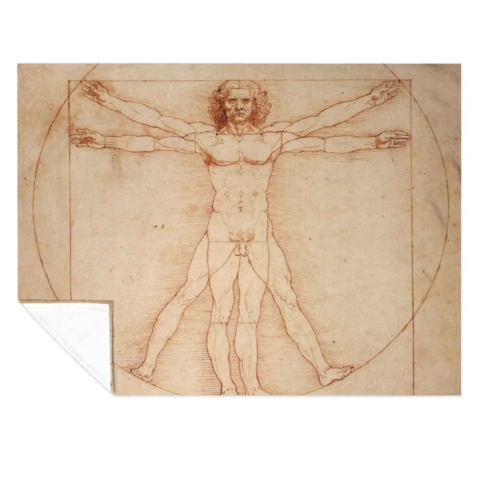 

Vitruvian Man by Leonardo Da Vinci (1490) Throw Blanket Plaid on the sofa Decorative Beds Flannel Sleeping Bag Blankets