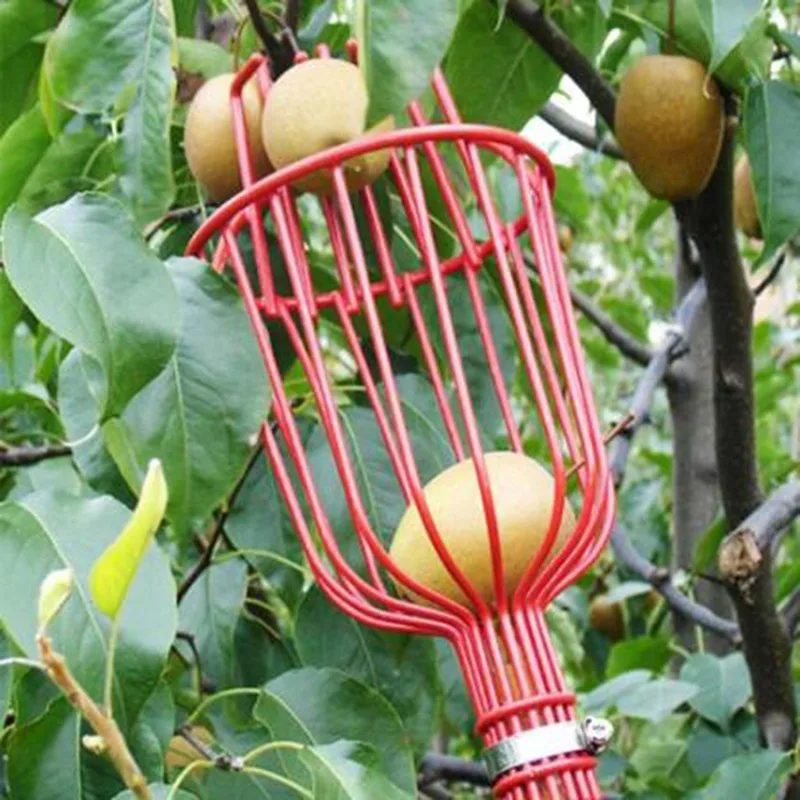 Deep Basket Fruit Picker Head Portable Aerial Catcher Citrus Pear Apple Garden Harvest Picking Tool Accessory