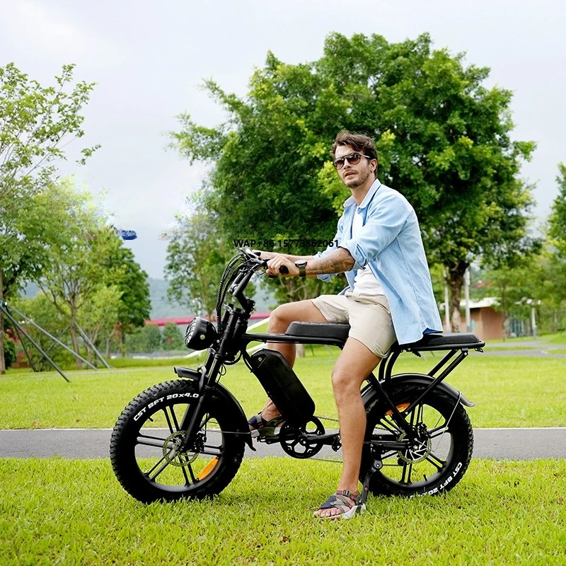 

V8 Mountain Electric Bike 1000W Dual Motor Road E Bike 20 Wheel Size Fat Tire Electric City Bicycle Lithium Battery
