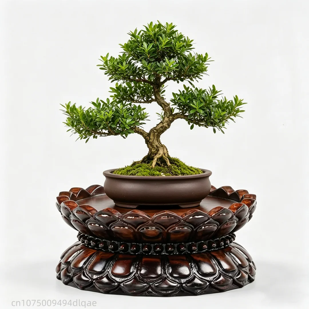 Buddha, Figurines, Flower Vase, Bonsai, Home Office Decor Pedestal Black Sandalwood Lotus Display Base Round Wood Stand