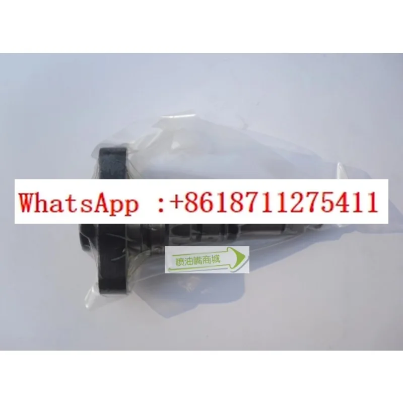 

Chongqing series X170S model plunger, fuel pump