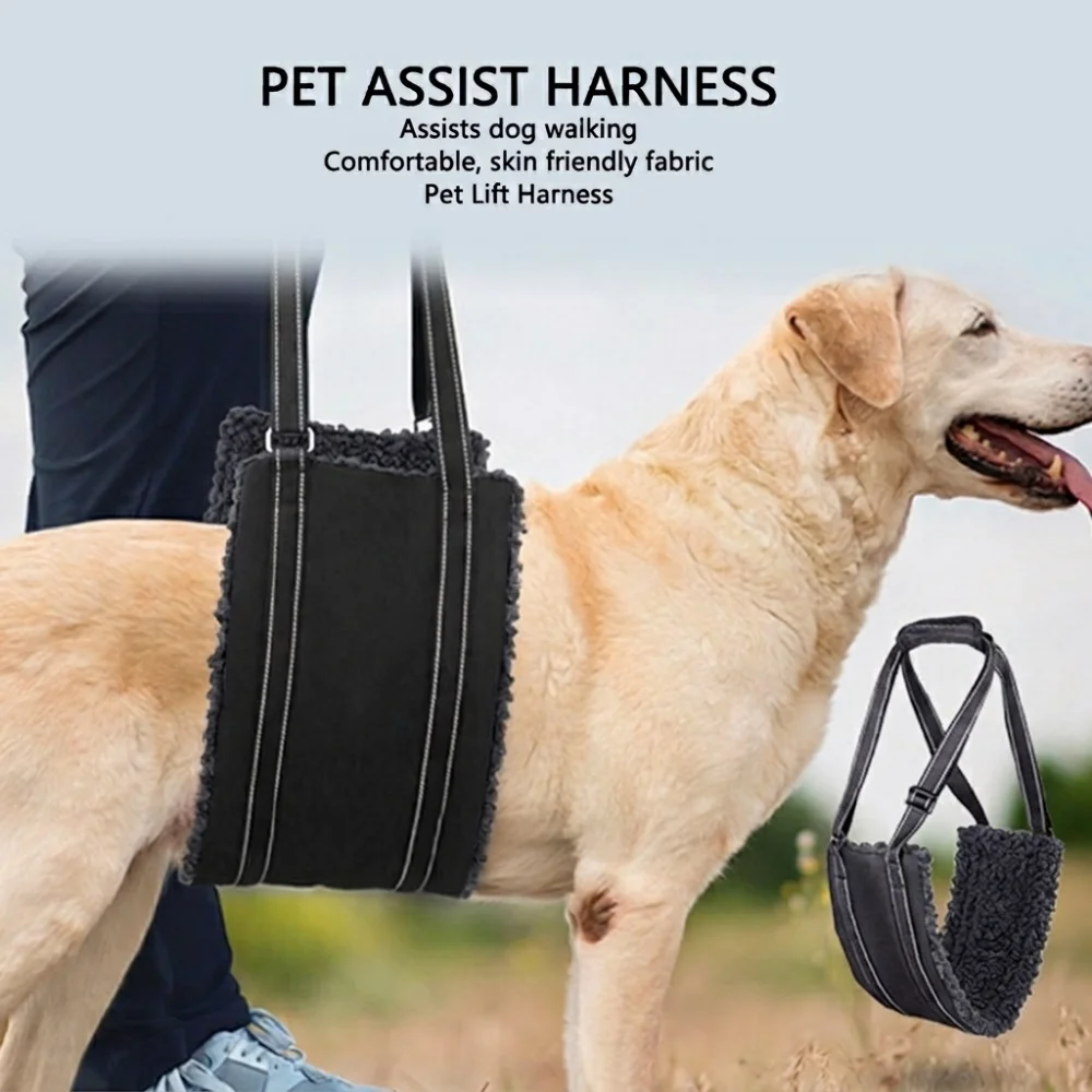Adjustable Straps Dog Lift Harness Multiple Sizes Padded Lining Dog Mobility Harness Breathable Mesh Solid Buckles