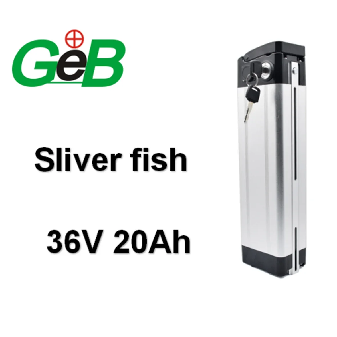 Rechargeable Lithium Silver Fish Lithium Ion Batteries 36V 20Ah Electric Bicycle 48V E Bike Battery Pack