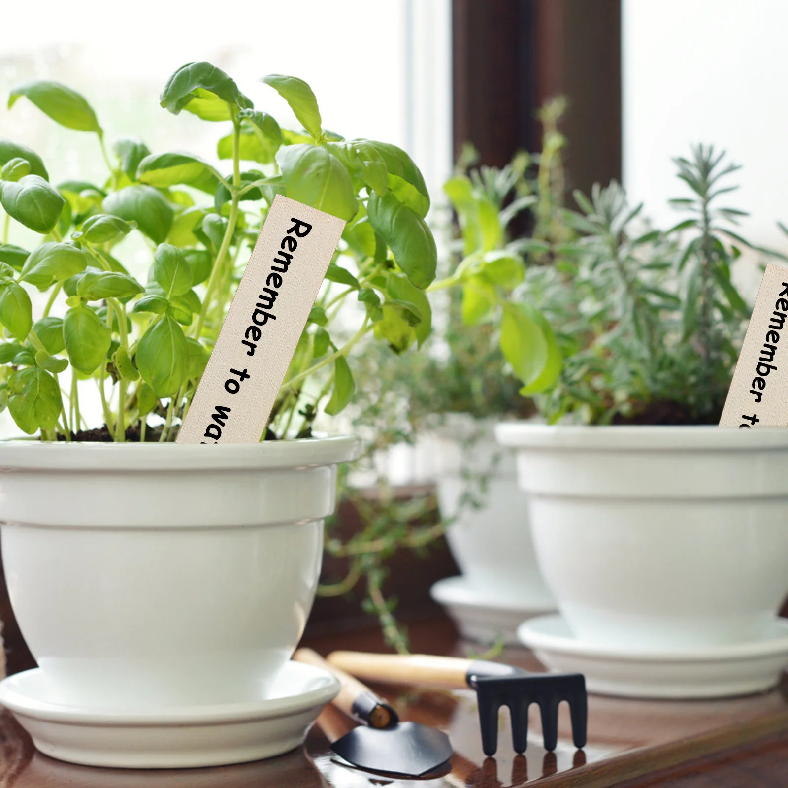 

100pcs Wooden Plant Labels Small Size For Garden Nursery Use Plant Markers For Home Botanical School Decorative Tags