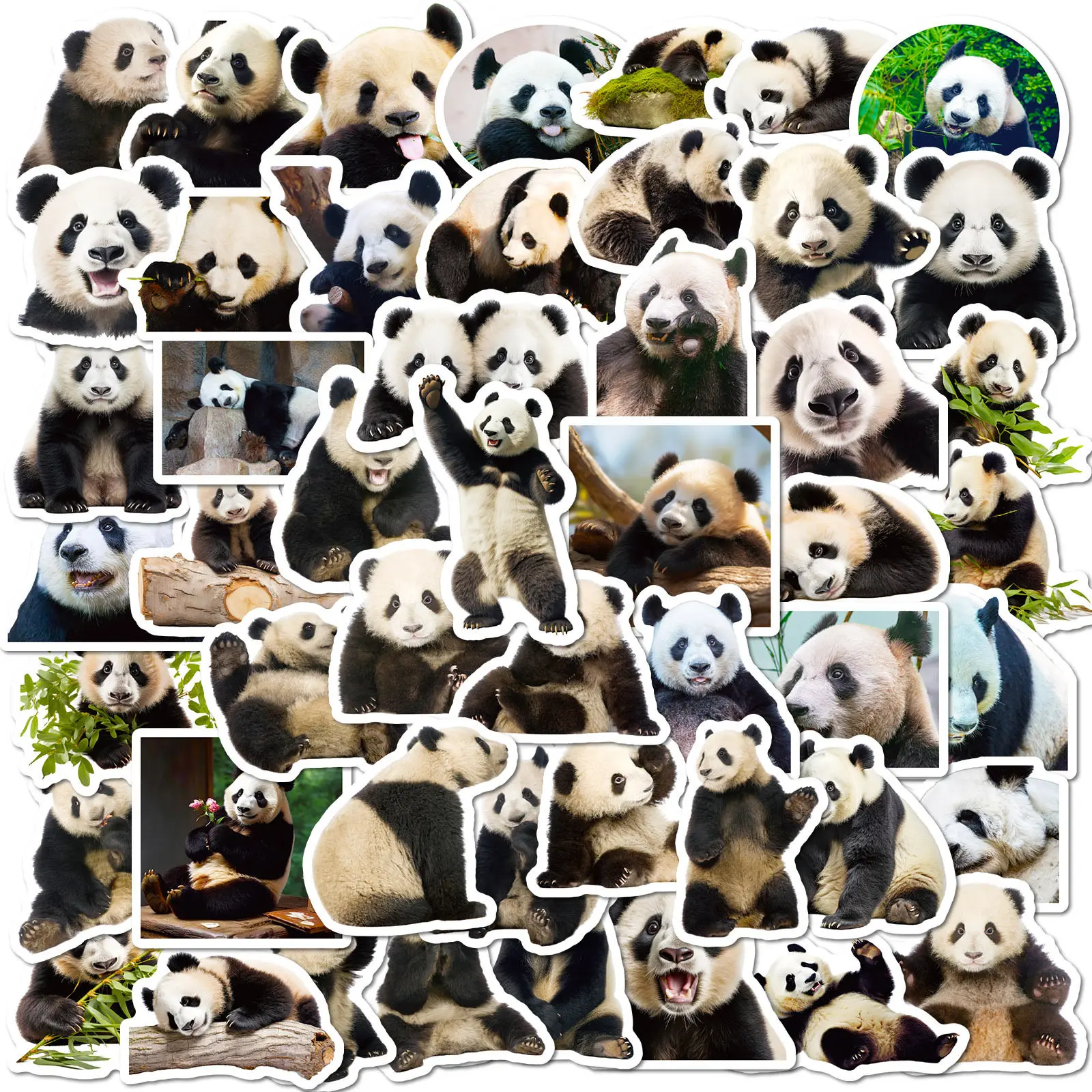 100 Kawaii Panda Hua Hua Stickers Cute DIY Decals for Phone Cup Skateboard Helmet Journal