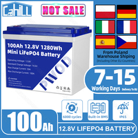 EU Stock Mini 12V 100Ah Lifepo4 battery Pack 12.8V lithium iron phosphate rechargeable Cell For Camping Boat Home energy storage