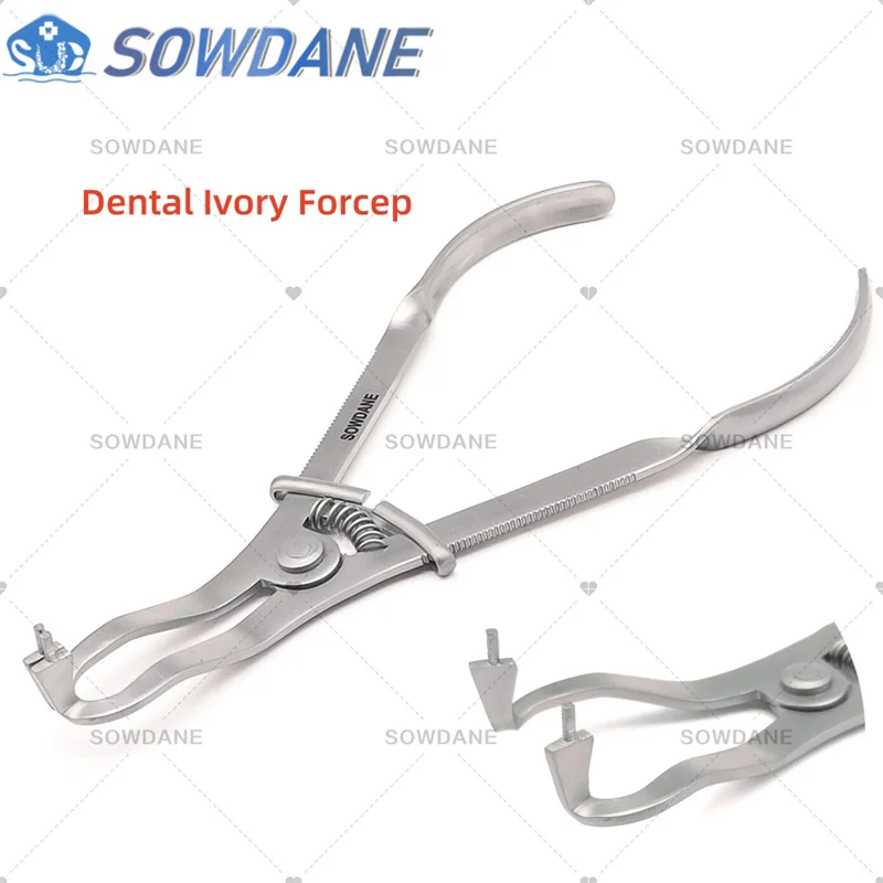 

Stainless Steel Dental Matrics Forceps Matrice Matrix Ivory Forcep Rubber Dam Clamp Plier Dental Surgical Instrument Tool