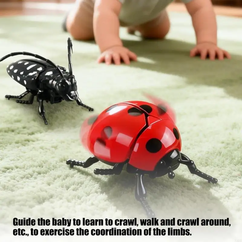 XXFE Insect Character Toy Play Set with 9 Wind-Up Figures, Ages 3