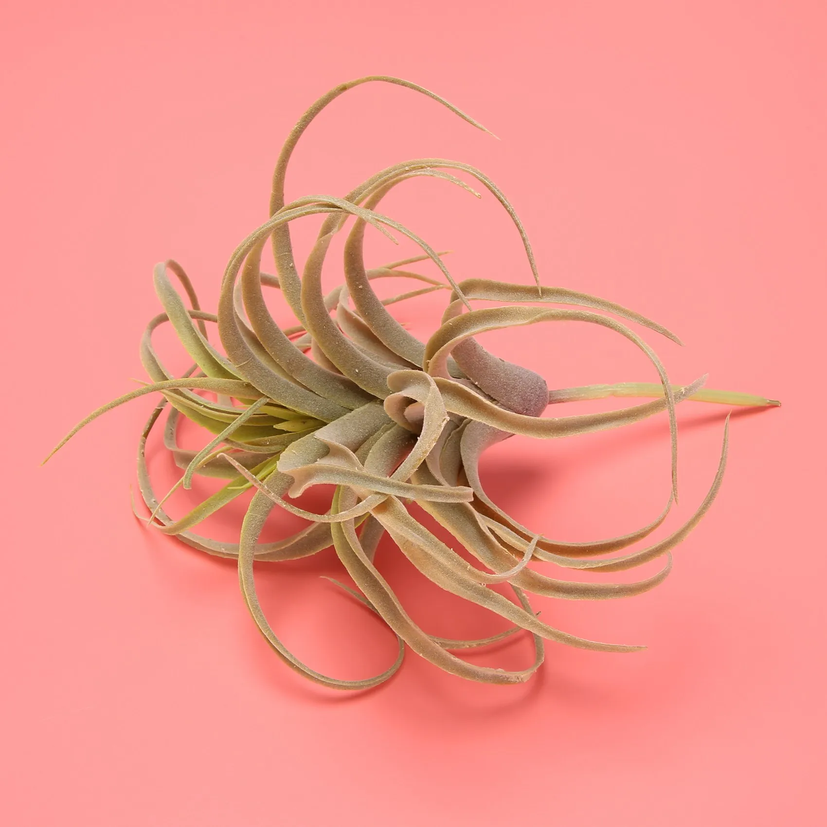 인공 파인애플 잔디 공기 식물 가짜 꽃, 가짜 플록 틸란드시아 브로멜리아드 홈 정원 장식, 4 팩