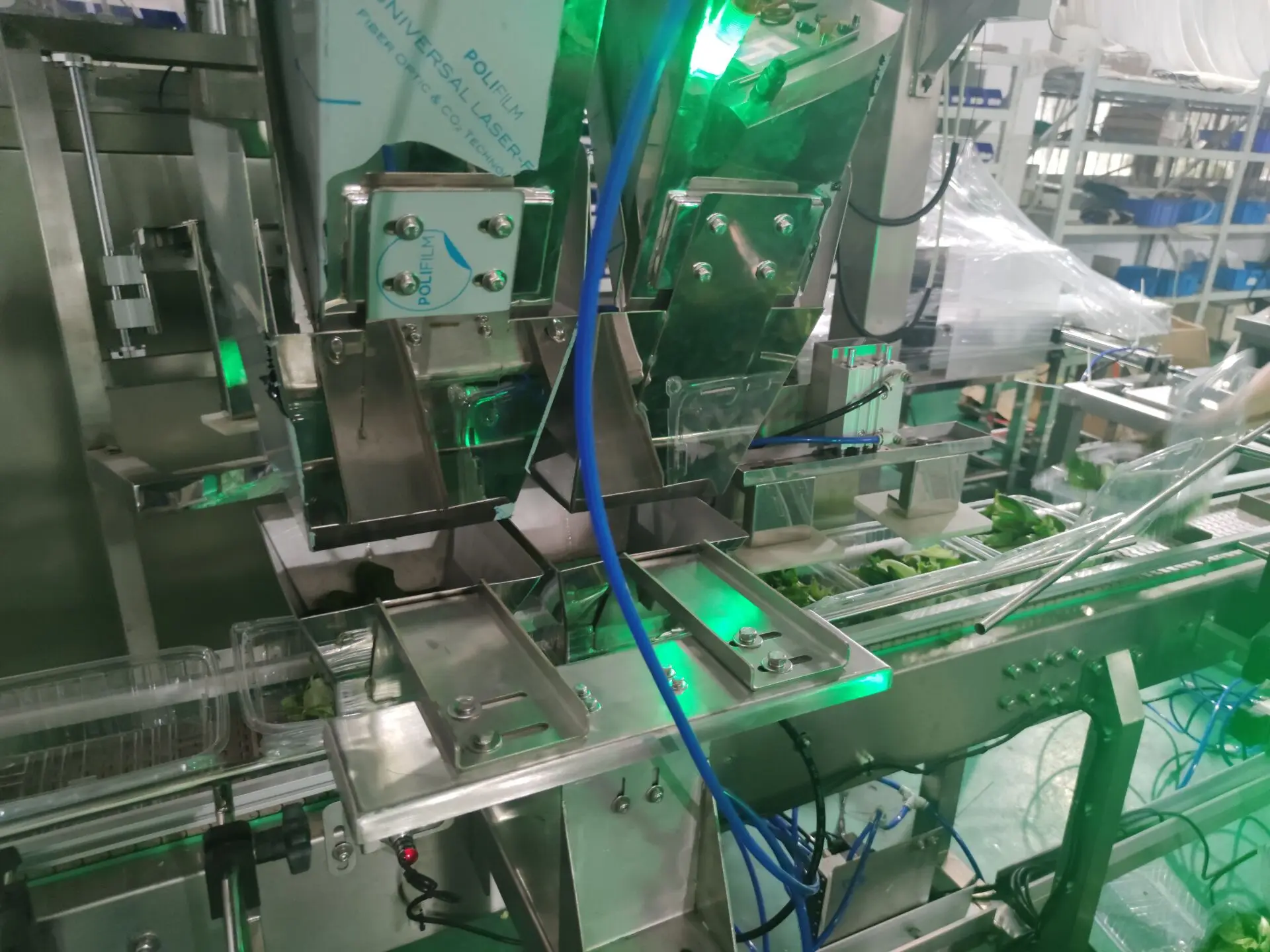 Fully automatic multihead weigher 500g lettuce tray packing machine