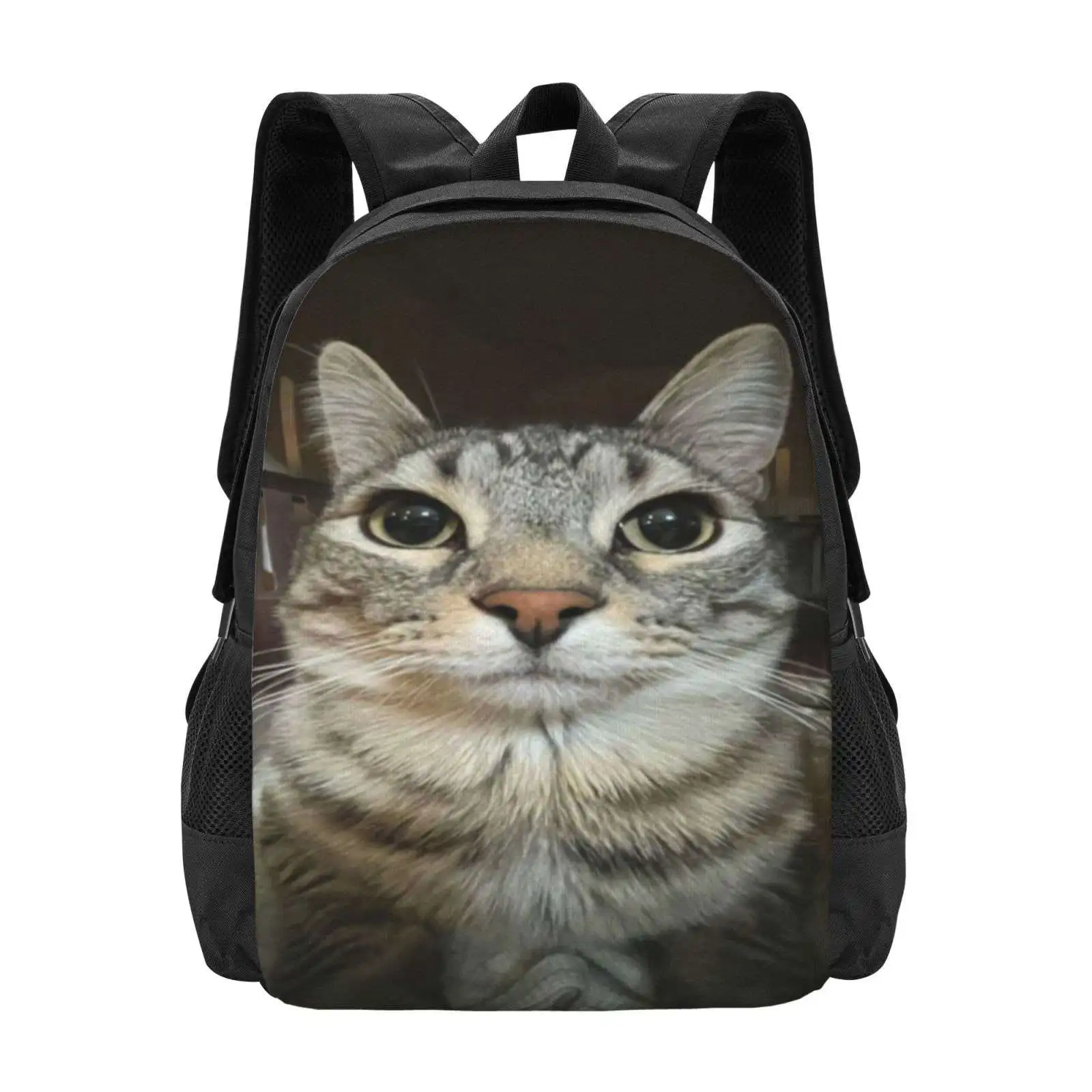 Cat Looking Directly At You Hot Sale Schoolbag Backpack Fashion Bags Funny Cat Meme Cat Looking Directly At You Cat Funny