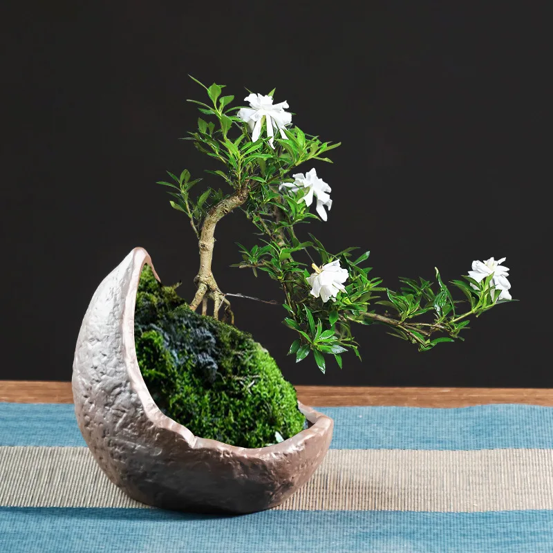 Maceta Creativa de Arena Púrpura Estilo Chino, Maceta Pequeña con Forma de Tronco de Árbol, para Plantas Verdes, Decoración de Mesa para el Hogar