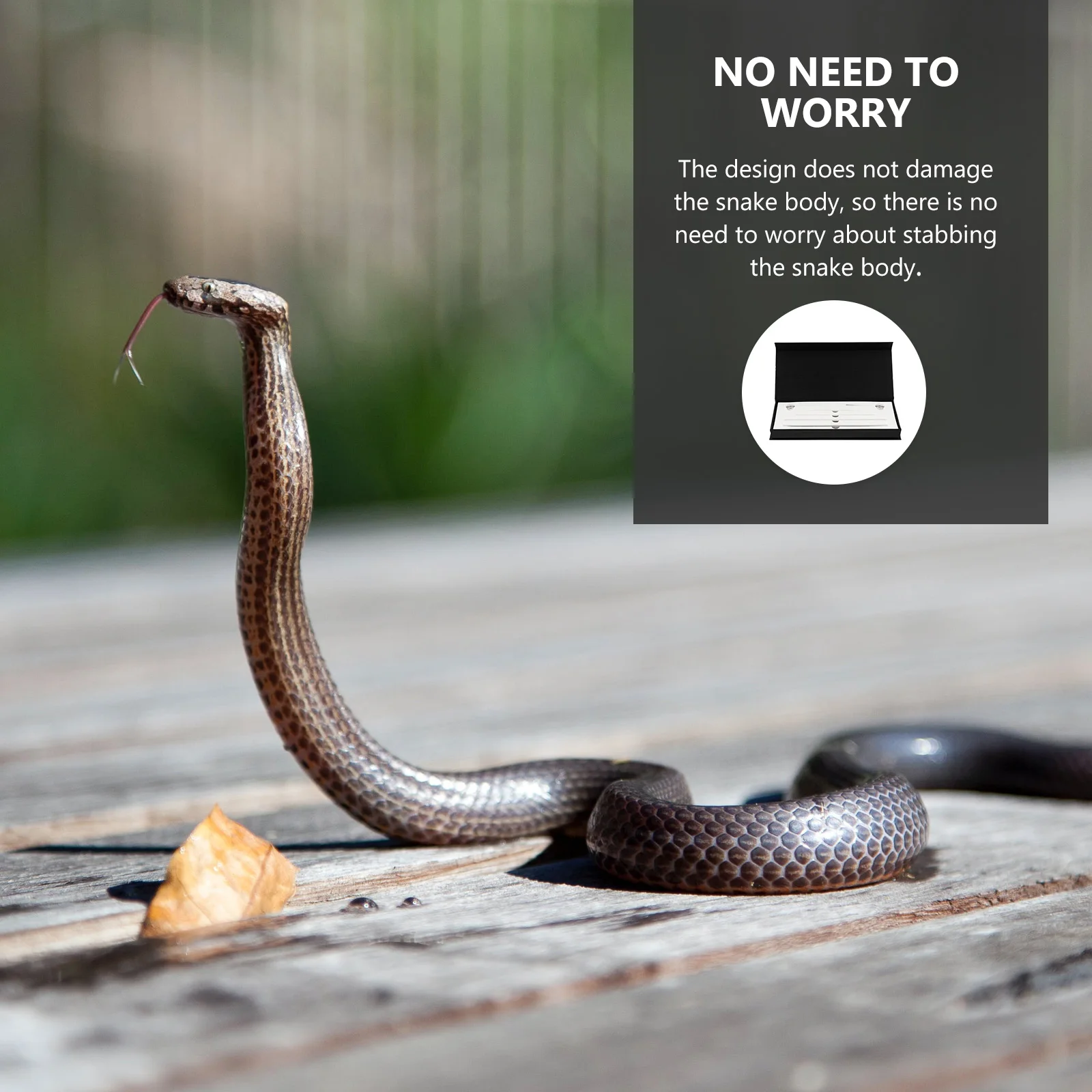 

1 set 1 Set Snake Gender Probe Stainless Steel Lightweight Portable Professional Reptiles Probe For Different Size Snakes Snake