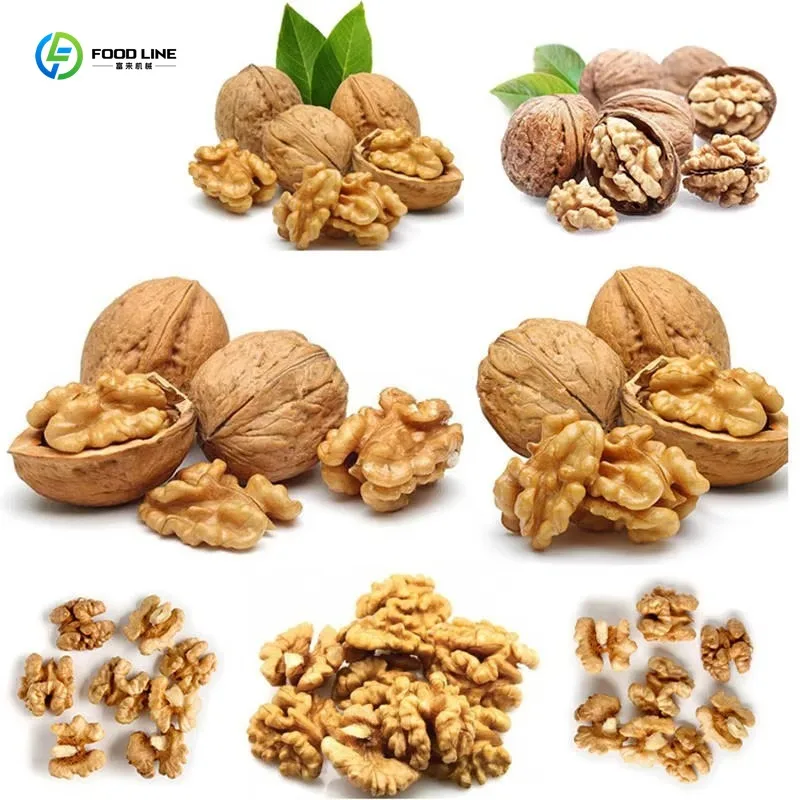 Customized Electric Walnut Pecan Shelling Machine 200kg/h Commercial Automatic Nut Cracking Equipment