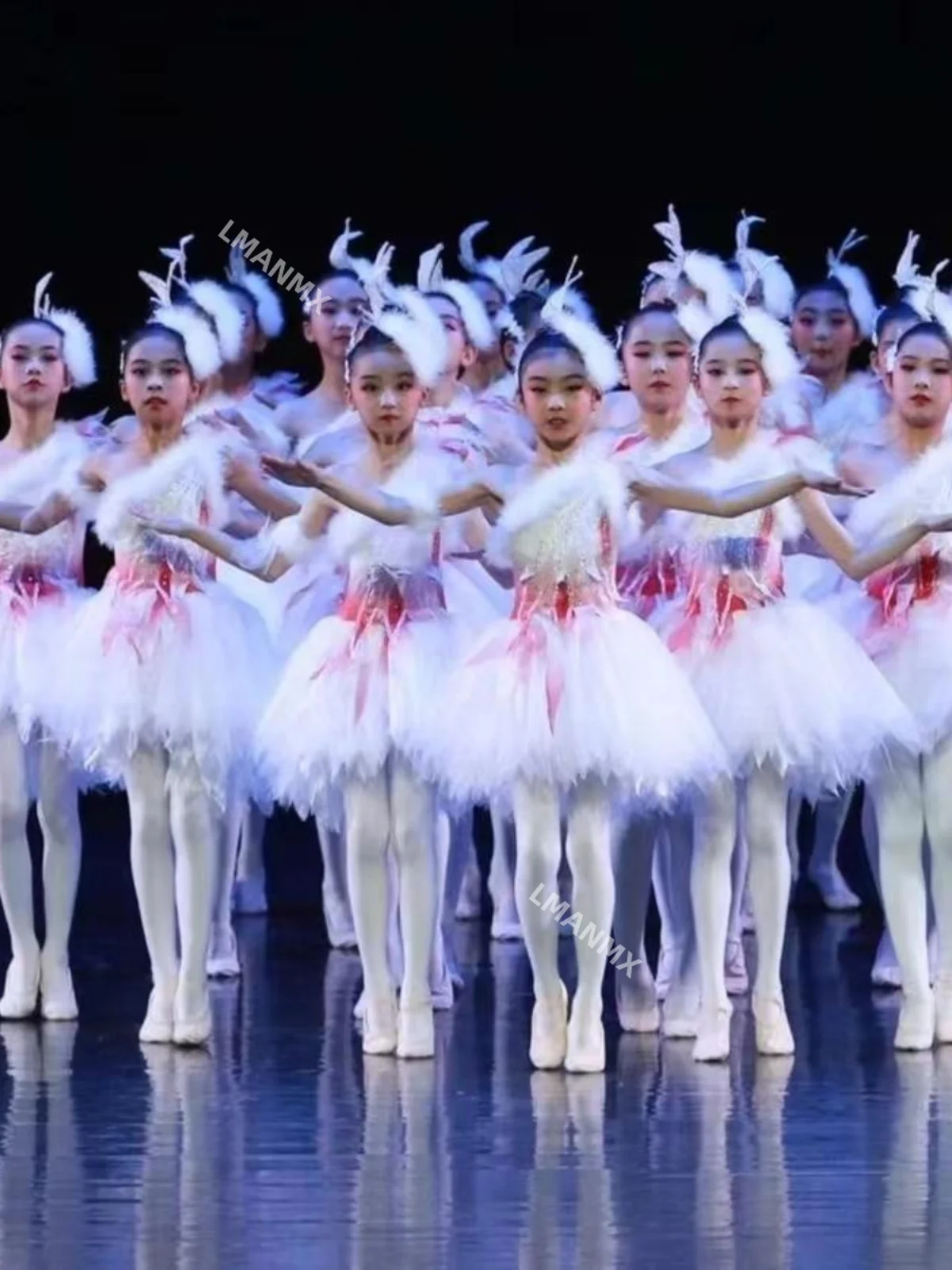 

Детский костюм для выступлений, принцесса, пышная юбка, танцевальный костюм маленького животного.