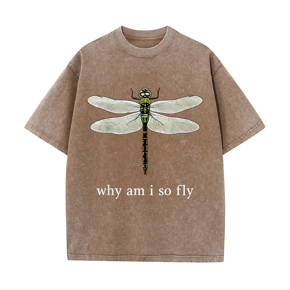 Why Am I So Fly Funny Dragoy Pun Insect Lover T-Shirt Pure Cotton Printed Men Humor Summer Tops Cartoon Tシャツ Shirt Herren 고퀄
