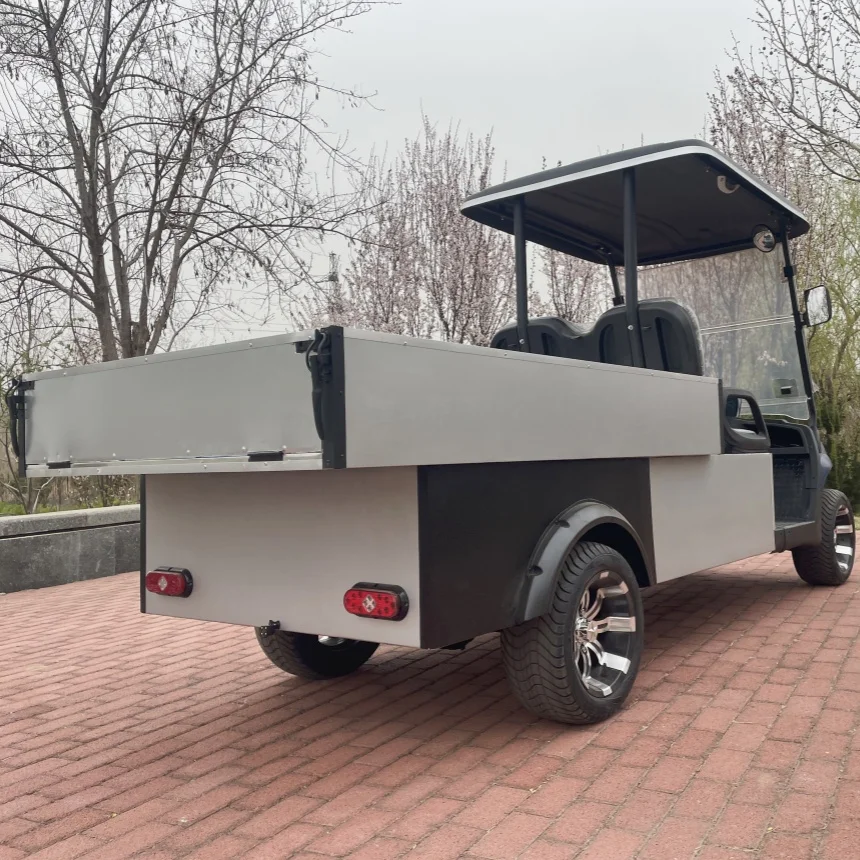 

Wholesale Custom Design Electric Golf Cart 2 Seater Lithium Utility Vehicles 48V/60V/72V With Rear Cargo Box Electric Cargo Cart