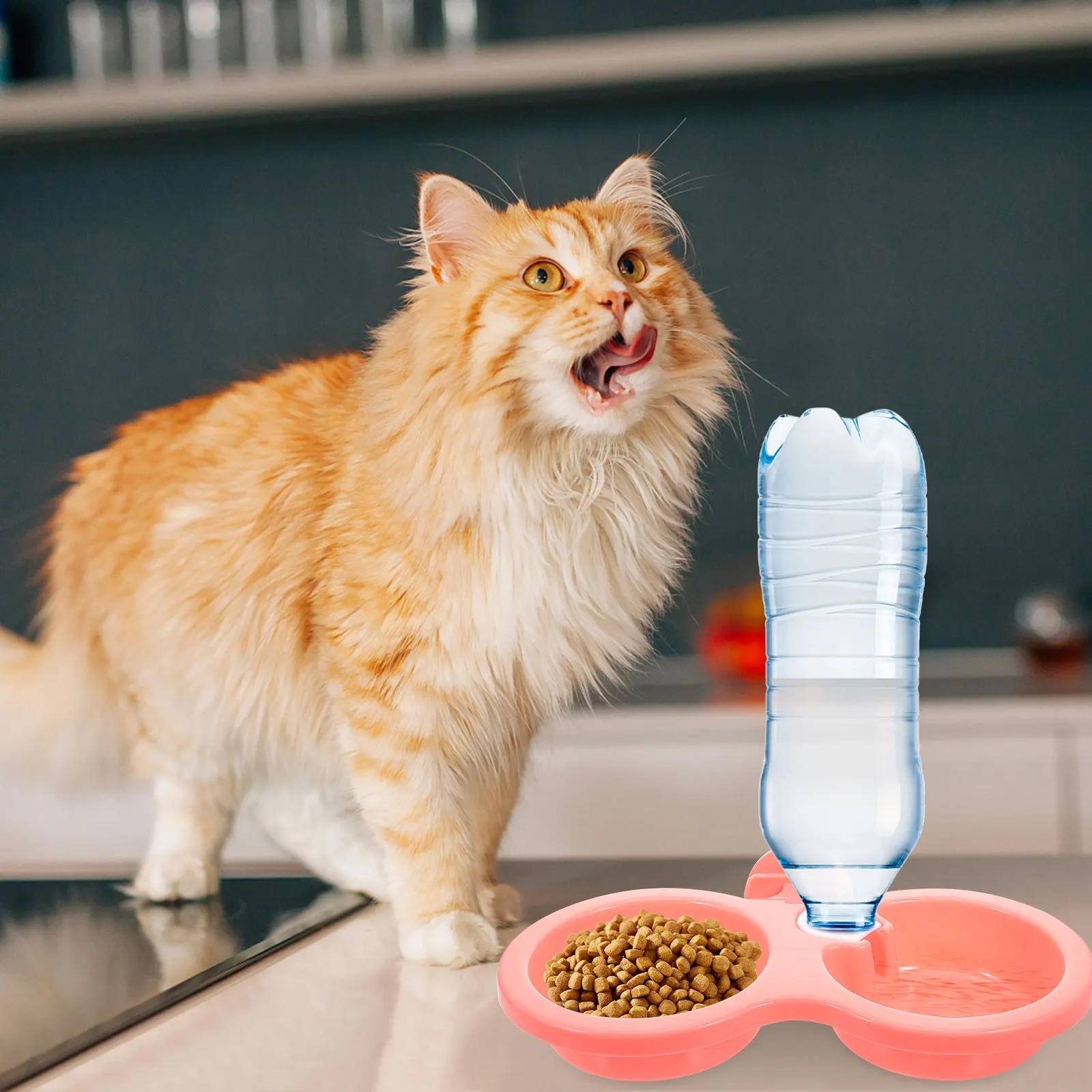 

2Pcs Hanging Pet Bowls Detachable Food Water Dishes for Small Dogs Cats Crate Rabbit Plastic Reusable Sturdy Safe Feeder