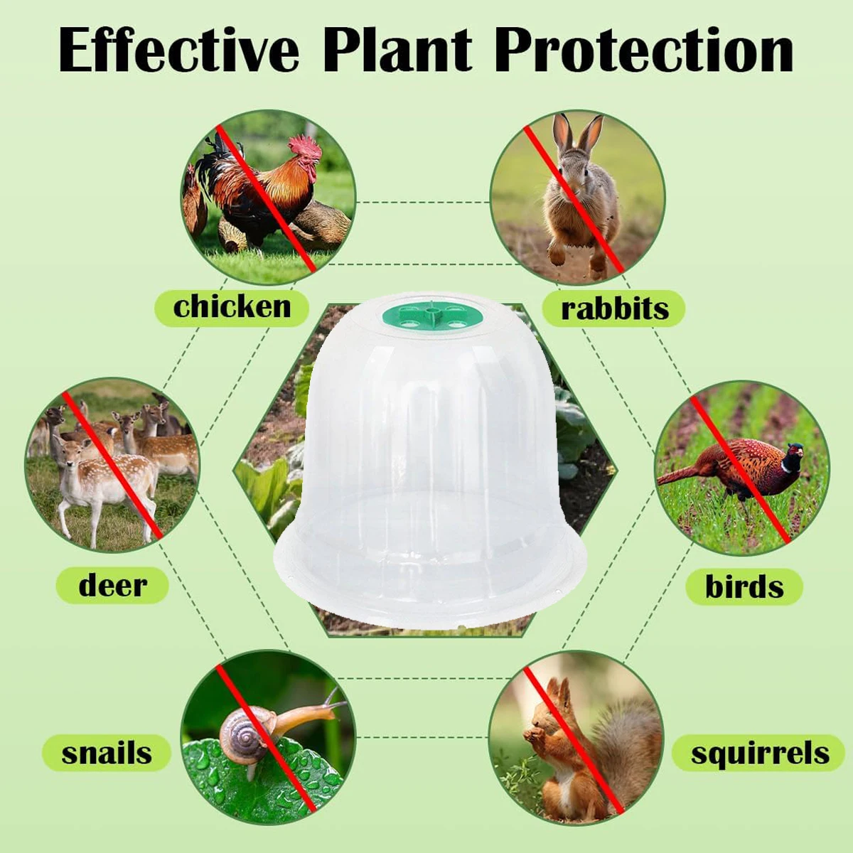 Bitki Koruyucu Örtü Fidanlık B - Greenhouse Plastic Film incelemesi ve fiyatı