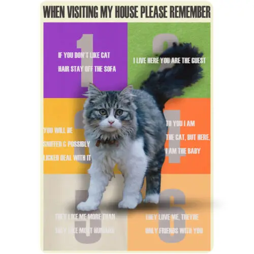 Funny Metal Tin Sign When Visiting My House Please Remember Wall Art Poster 12x8 sign