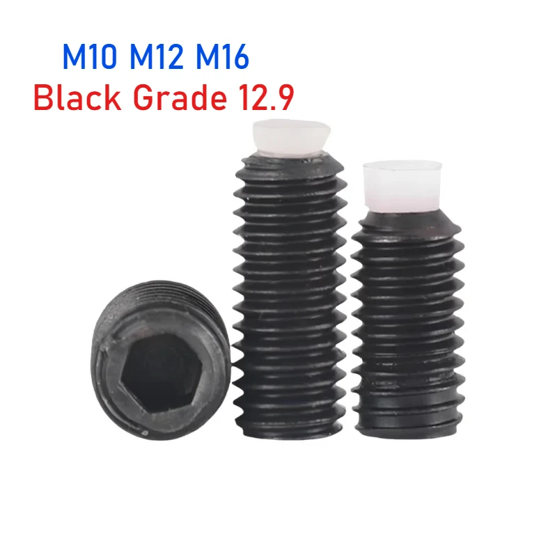 M10 M12 M16 Black Grade 12.9 Carbon Steel Hexagon Socket POM Dog Convex End Point Tip Grub Screw/Headless Bolt