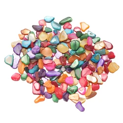 Charbon concassé de fragments de coquillages mixtes, non percé, de forme irrégulière pour bijoux à bricoler soi-même, moule en résine, accessoires exécutifs, 20g, 50g