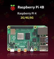 Raspberry Pi 4B RAM Python Development Board with OpenCV Kit Quad Core 64 Bit WiFi Bluetooth (4GB)