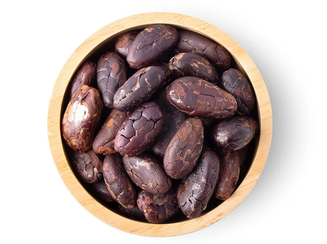 الفولاذ المقاوم للصدأ معدات معالجة حبوب الكاكاو آلة تحميص حبوب الكاكاو #5