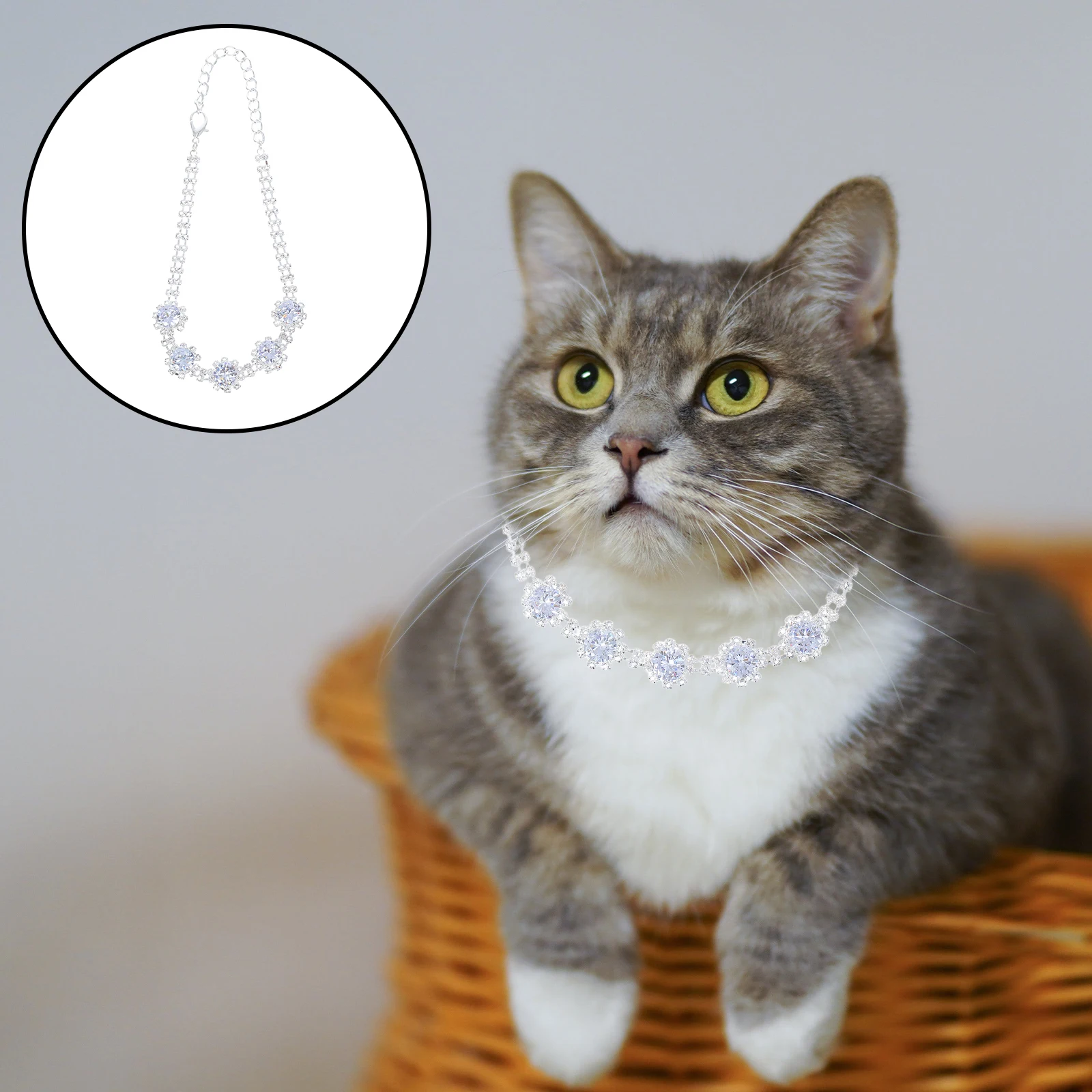 

Pet Necklace Collar Pendant Necklaces for Dog Jewelry Small Dogs Cats Puppy Animal