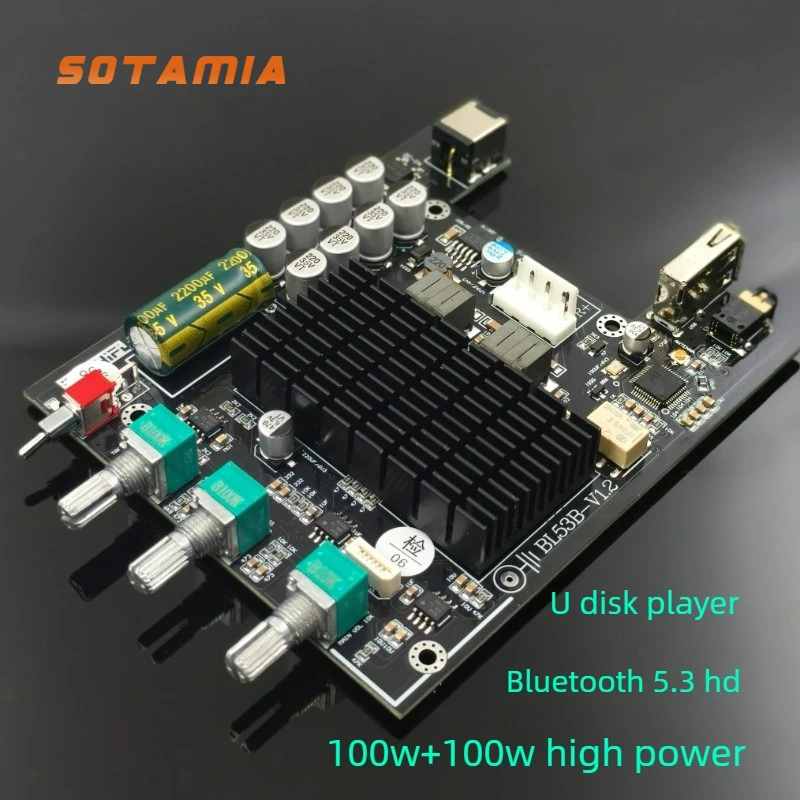 

SOTAMIA TPA3221 HIFI Power Amplifier Board 100Wx2 Stereo Bluetooth 5.3 U Disk Player Audio Independent Tweeter Bass Adjustment