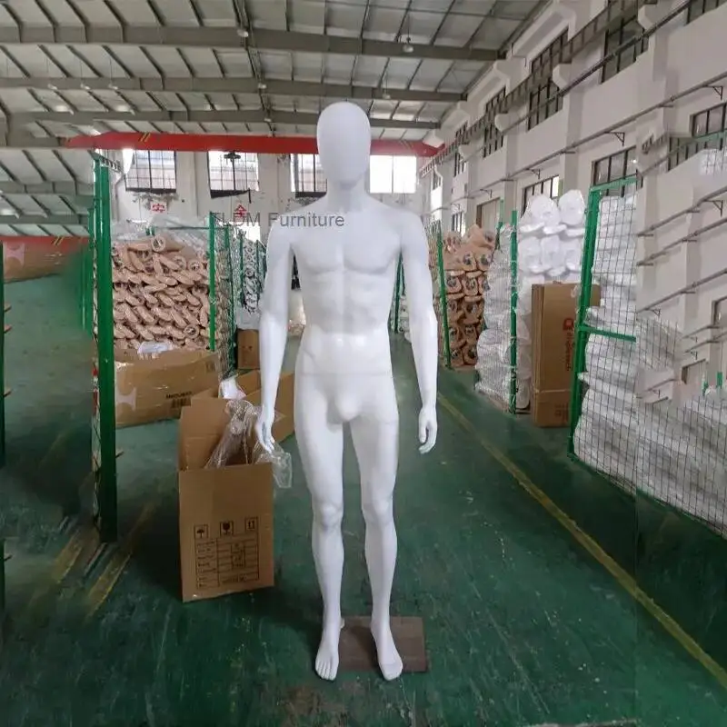 

Современный пластиковый манекен-стенд для витрины, полноразмерный манекен для демонстрации одежды, для магазинов одежды, швейных принадлежностей FYMQ