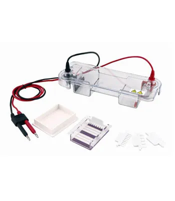 Gel Electrophoresis Power Supply