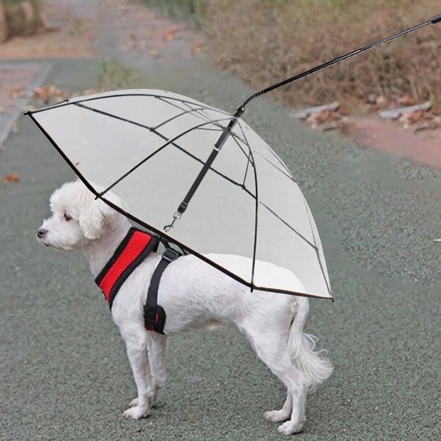 Bulldog umbrella best sale