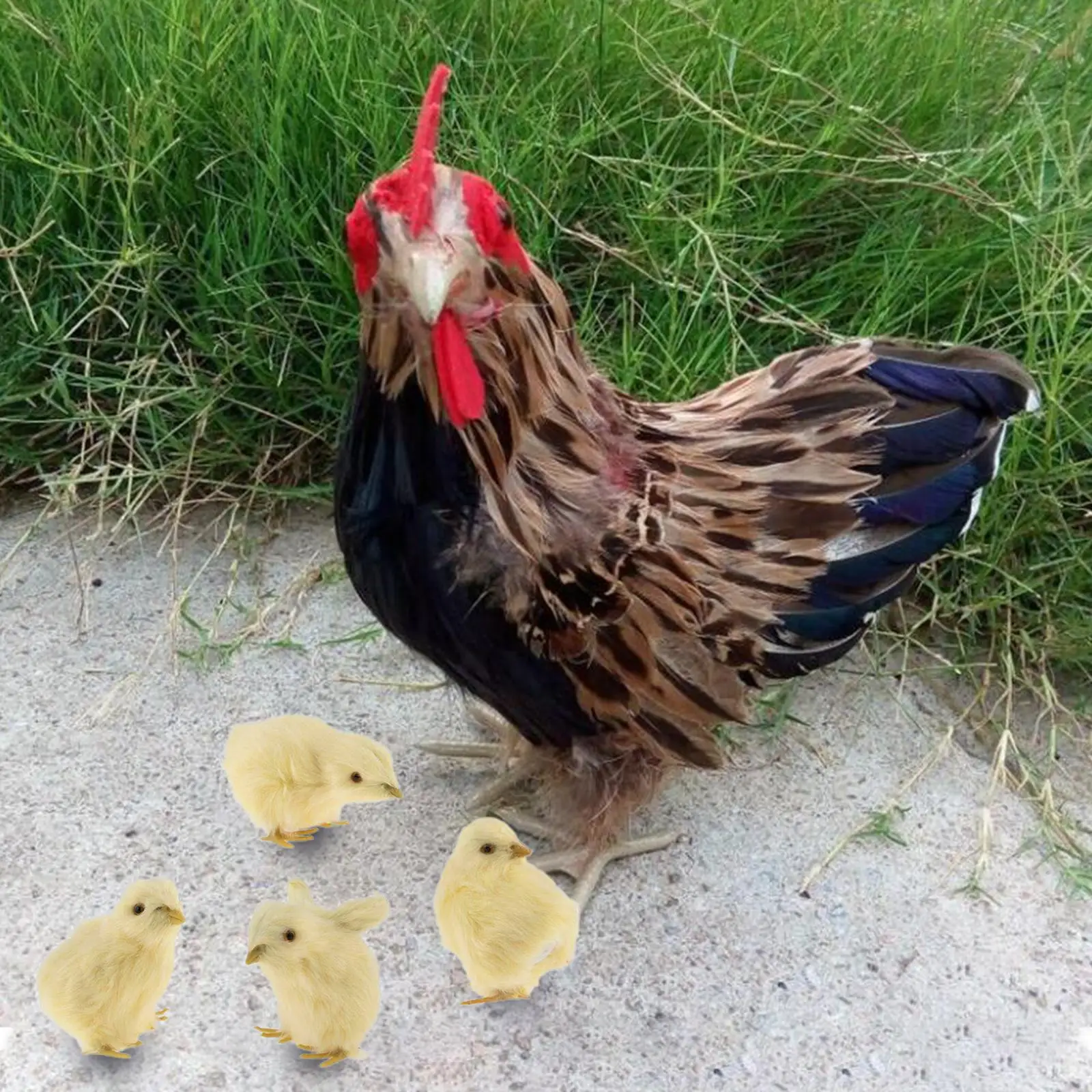 Hen Model Decoration with 4 Chick Figure Ornament for Yard Home