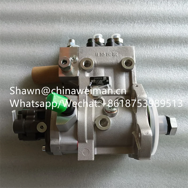 Diesel Engine Parts 1000161361 Fuel  Pump WPCPN2 612640080015 4110002989043 for Sale