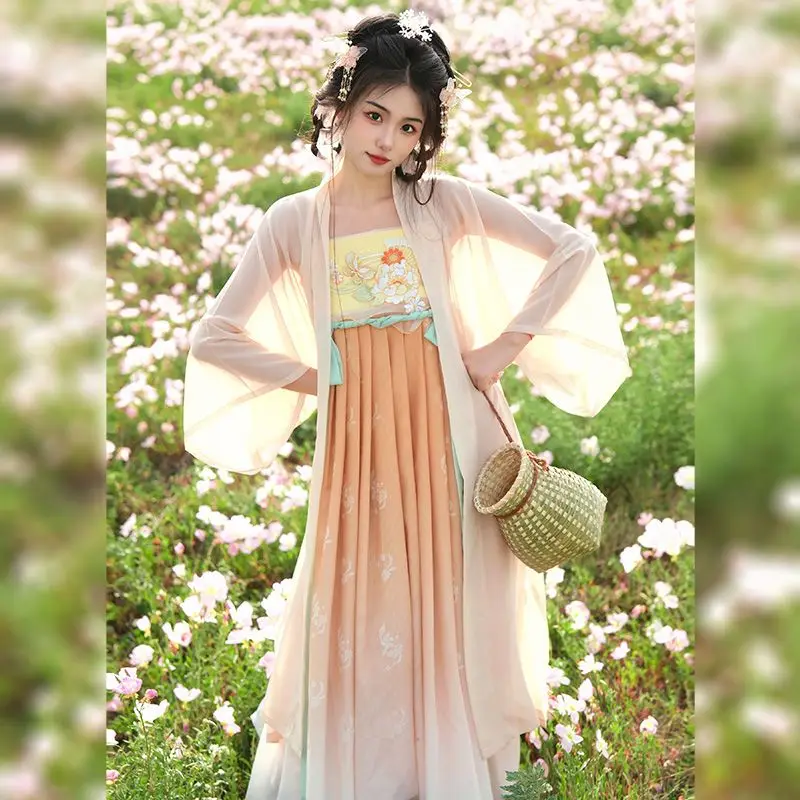 Chinesische traditionelle Hanfu Kostüm Frauen altes Kleid orientalische Stickerei Prinzessin Kleid Eleganz Tang Dynastie Tanz tragen Kleid