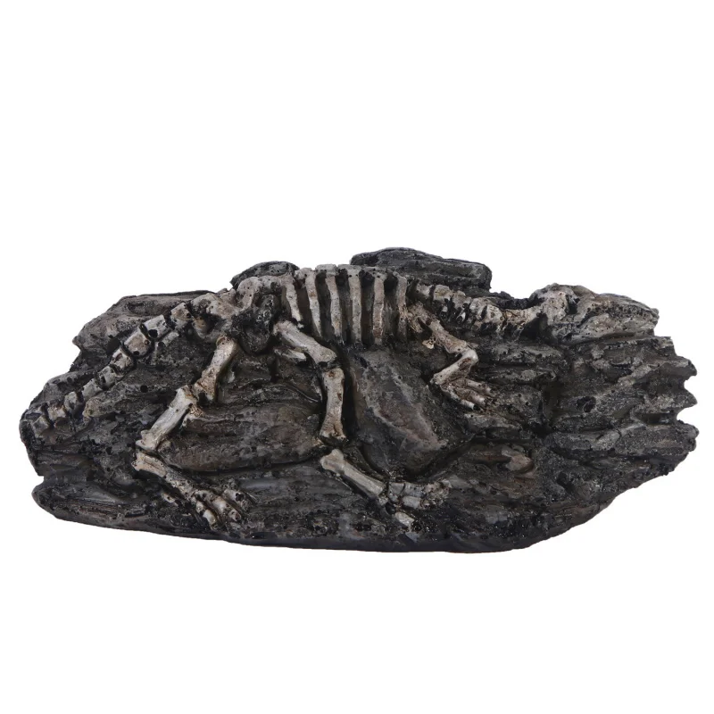 

Home Direct Sales Landscaping Aquarium Decoration Purple Clay Fish Shrimp Irregular Hideout Tank Breeding Ceramic