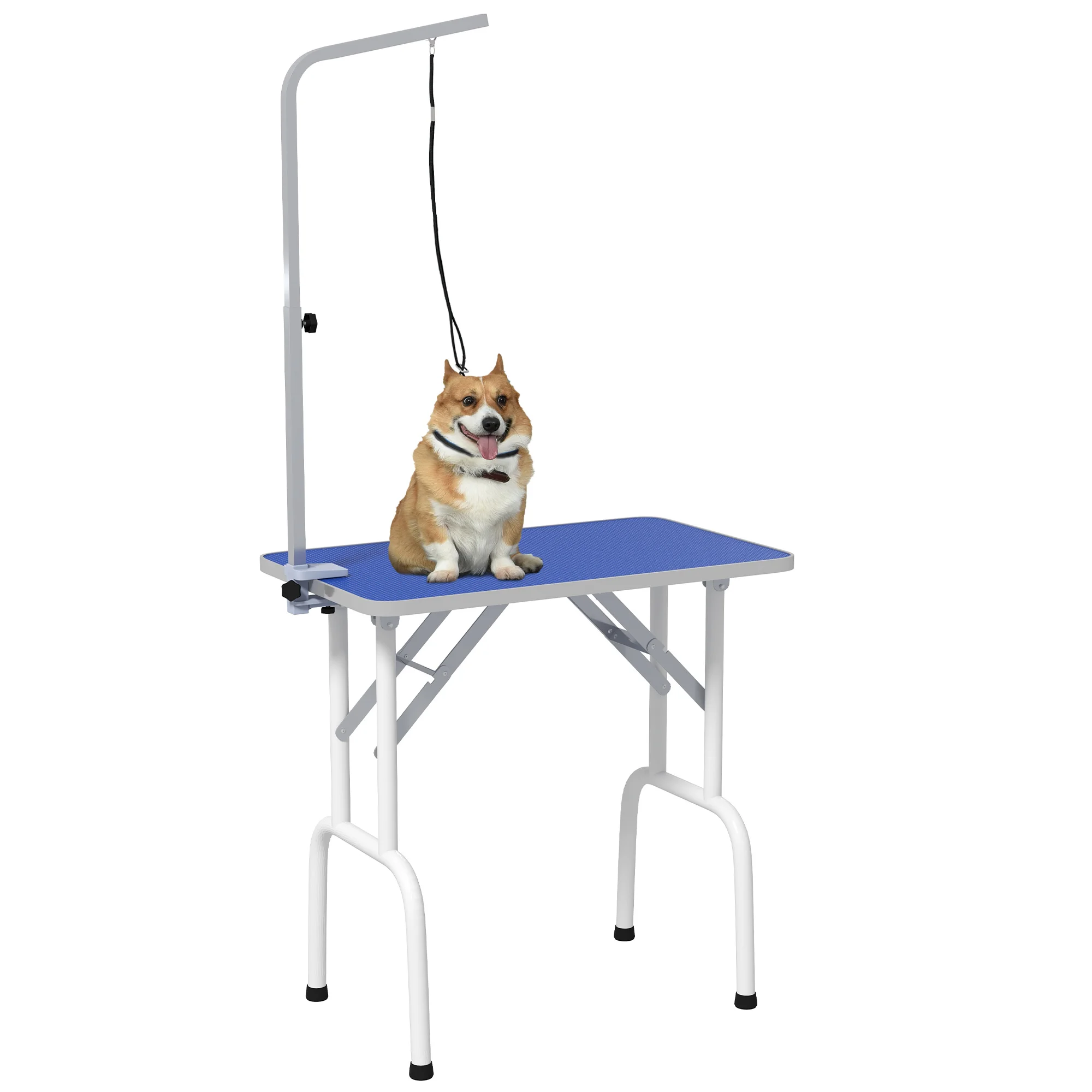 PawHut Mesa de Peluquería Canina Plegable con Encimera Antideslizante Brazo Ajustable 81x48,5x80 cm, Azul