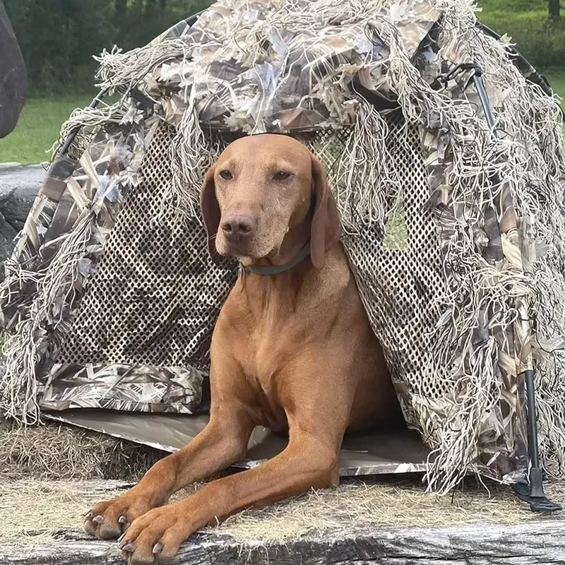 for Lightweight Camo Waterproof Outdoor Hunting Dog Blind Tent with Magnetic Doors for Duck Goose Hunt Layout Hunting Blind