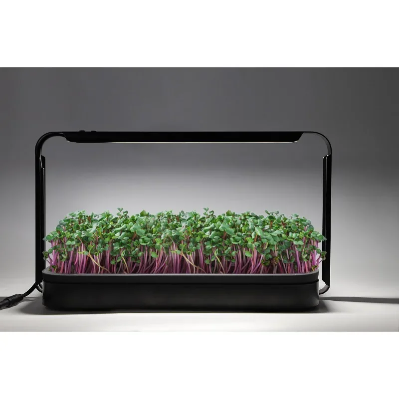 Garden sarter kit smart lettuce hydroponics lettuce grow indoor kit system