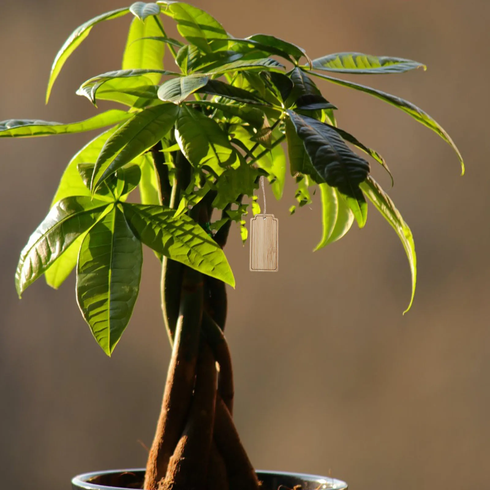 

10Pcs Bamboo Garden Signs Reusable Plant Labels Hanging Markers for Pots Trees Vegetables Flowers Garden Markers