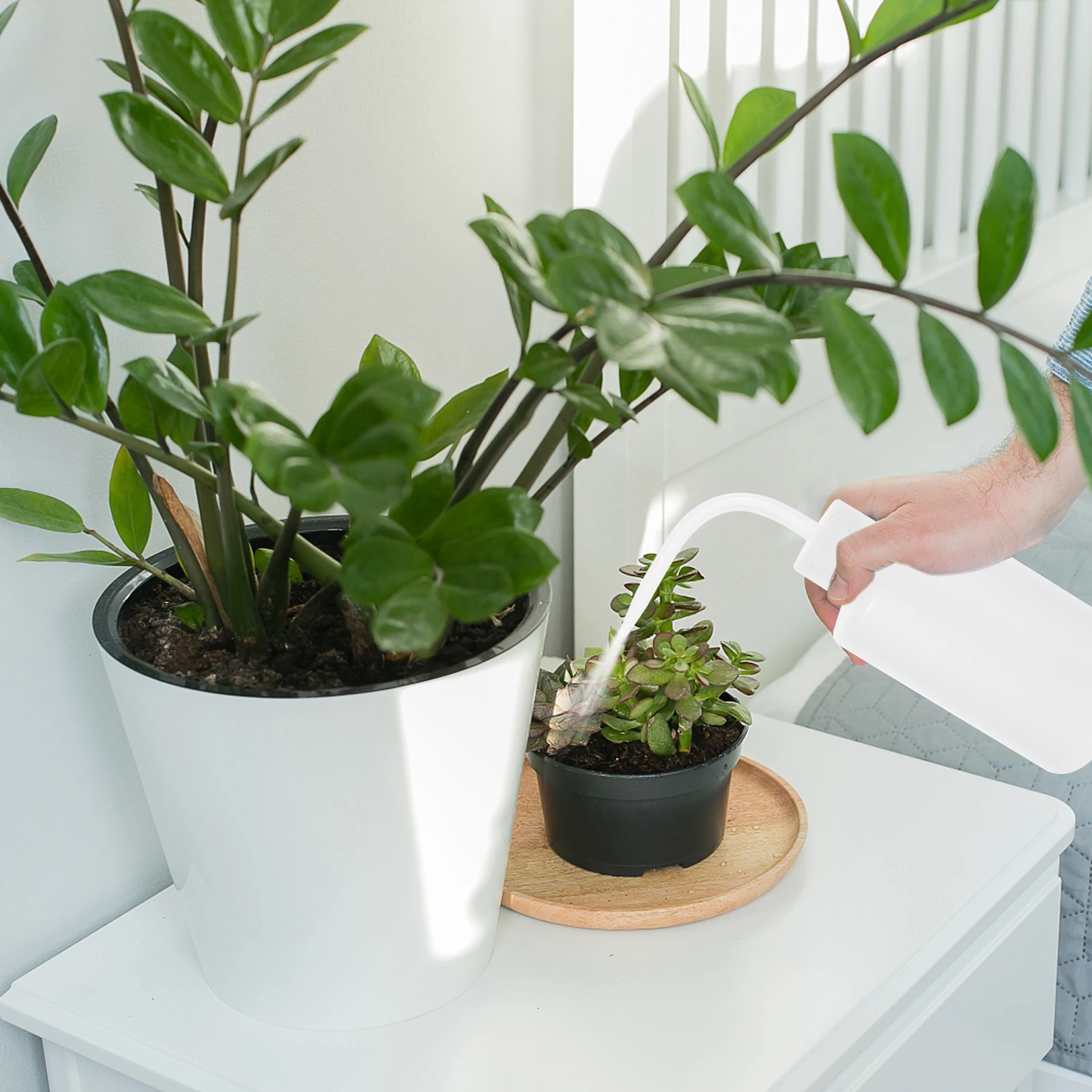 

10 Pcs Watering Can Easy to Use Bottle Squeeze Cleaning Juicy Sprinkling Plant Plastic