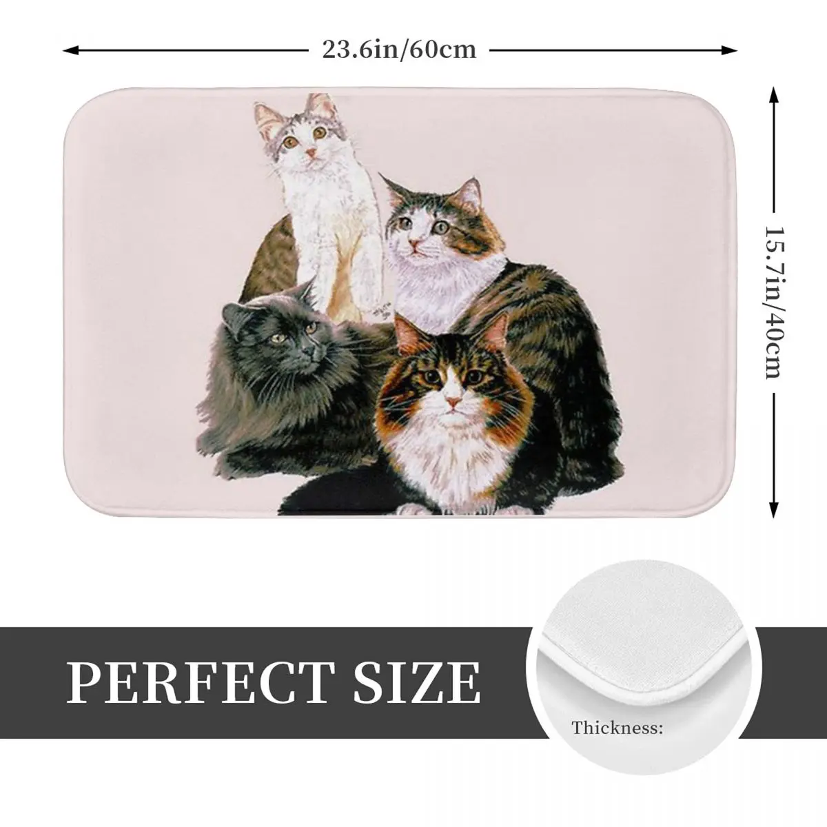 Norwegian Forest Cat Assortment Doormat Non-slip Super Absorbent Bath Mats Home Entrance Rugs Kitchen Carpet Hallway Footpad