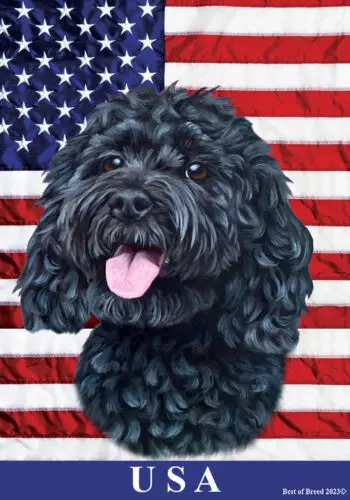 Cockapoo Black All-American II Flag