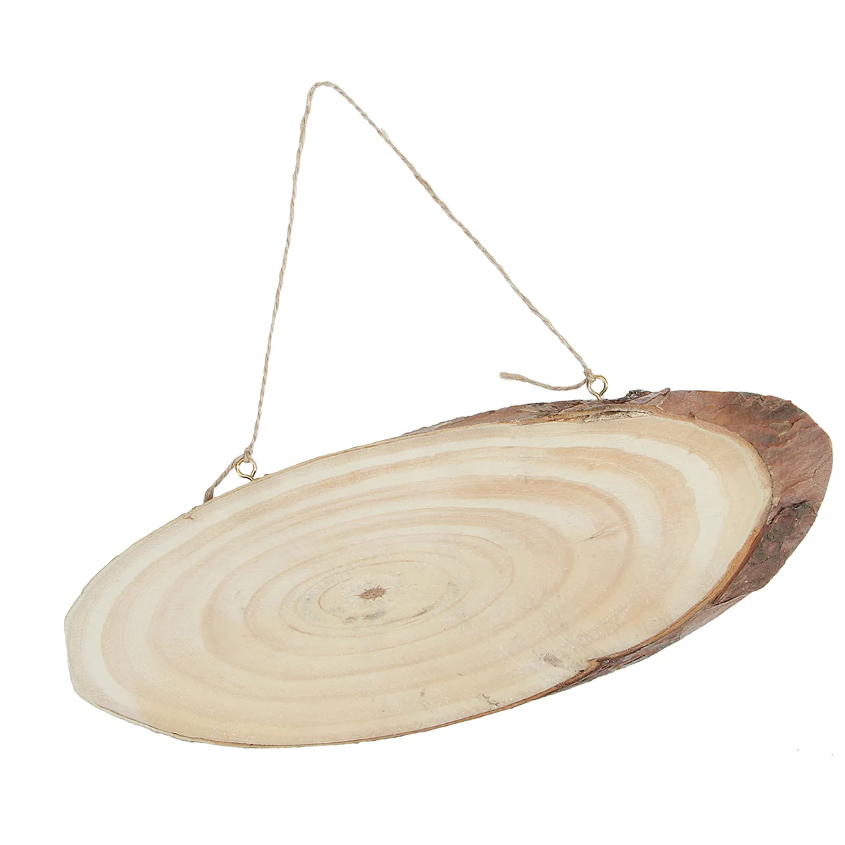 2Pcs Log Slices Unfinished Oval Blank Wooden Disc Tree Log Slice Plaques with Rope for DIY Decoration Crafts Projects