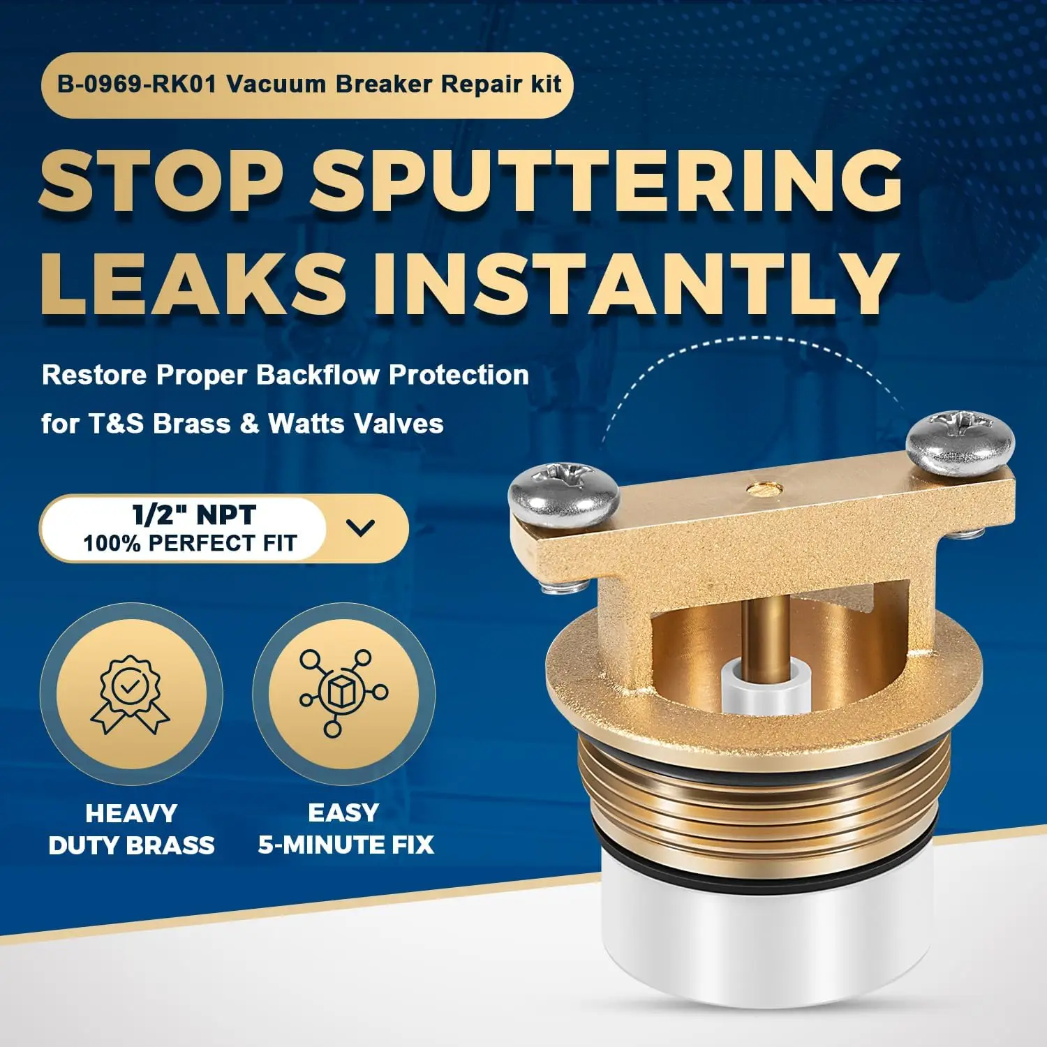 TM B-0969-RK01 Vacuum Breaker Repair Kit | Fit for T&S Brass B-0969 & for Watts LF288A, 1/2